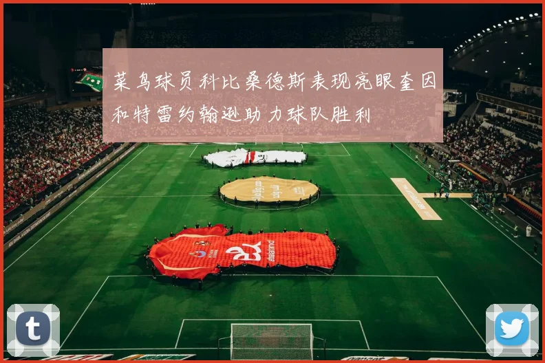 菜鸟球员科比桑德斯表现亮眼奎因和特雷约翰逊助力球队胜利